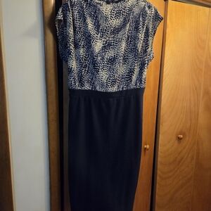 Express Silver Sheath Dress with Cowl Neck and Cap Dolman Sleeves